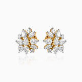 Earrings Traditional 1